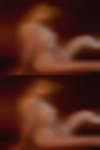 Free Amarillo horny girls look for man sex ads.